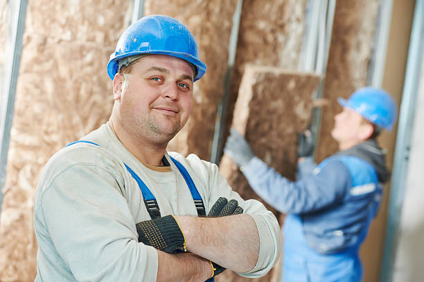 Best Cellulose Insulation  in Dunlap, IA