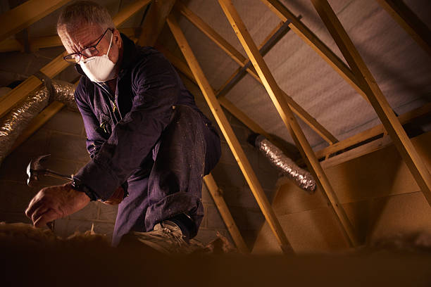 Best Soundproof Insulation Installation  in Dunlap, IA