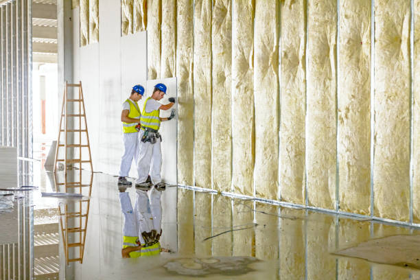 Insulation Contractors for Homes in Dunlap, IA